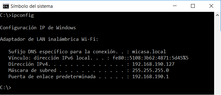 Dirección IP en Microsoft Windows 10 Profesional